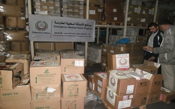   مصر اليوم - وصول 5 شاحنات من الأدوية والمساعدات الطِّبية إلى غزة