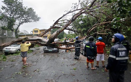   مصر اليوم - إرتفاع حصيلة ضحايا الإعصار راماسون في الصين إلى 14 قتيلًا