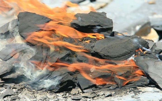   مصر اليوم - الجزائر تعتزم إستثمار 102 مليار دولار لتجديد احتياطاتها من المحروقات