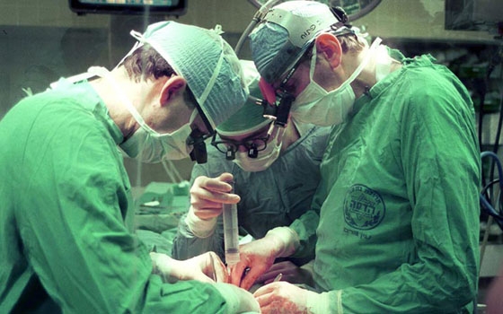   مصر اليوم - تزايد عمليات زراعة الأعضاء في العالم