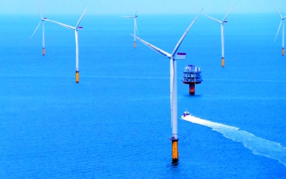   مصر اليوم - أكبر محطة لطاقة الرياح البحرية في العالم تكمل عامها التشغيلي الأول