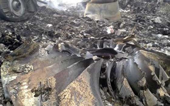   مصر اليوم - وفد إمارتي يشارك الإنتربول في تحديد هوية ضحايا الطائرة الماليزية