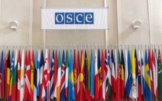   مصر اليوم - رئيس لجنة البندقية يبحث الأزمة الأوكرانية مع منظمة الأمن والتعاون الأوروبي