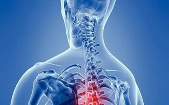   مصر اليوم - الخضراوات والفاكهة تحمي من الإصابة النخاع الشوكي