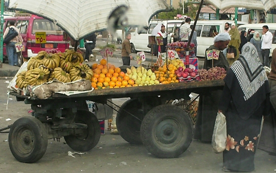   مصر اليوم - الركود يجتاح أسواق الإسماعيليَّة بسبب ارتفاع أسعار السلع