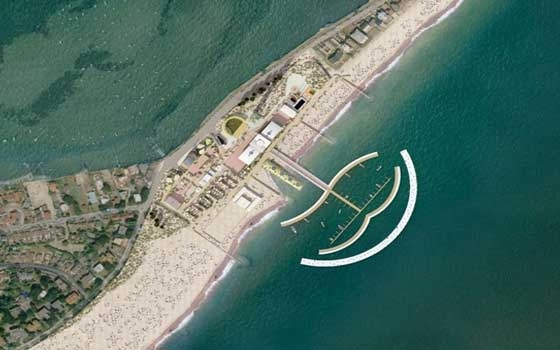   مصر اليوم - مليونير بريطاني يحاول استنساخ نخلة دبي هربًا من الإفلاس