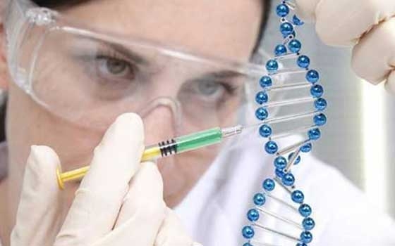   مصر اليوم - علاج جيني جديد لحديد الجينات المرتبطة بالعمى الوراثي