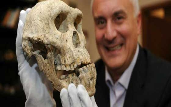   مصر اليوم - اكتشاف جمجمة بشرية عمرها ثمانية ألاف عام في النرويج