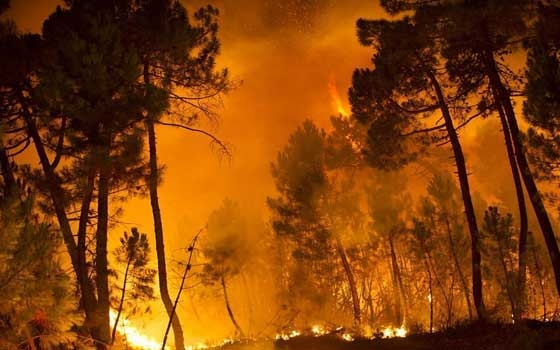   مصر اليوم - هيئة الدفاع المدني الجزائريّة تنشر إجهزة الركل المتحرّك في الغابات