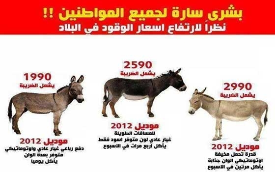 مصر اليوم - نشطاء يسخرون من ارتفاع أسعار الوقود بالدعوة لركوب الحمير