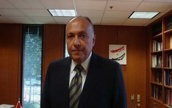   مصر اليوم - سامح شكري يؤكد وجود تشويه متعمد لصورة مصر في علاقتها مع قطر