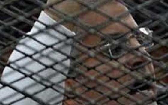   مصر اليوم - براءة عصام سلطان من تهمة إهانة قضاة مجلس الدولة لعدم جواز نظر الدعوى