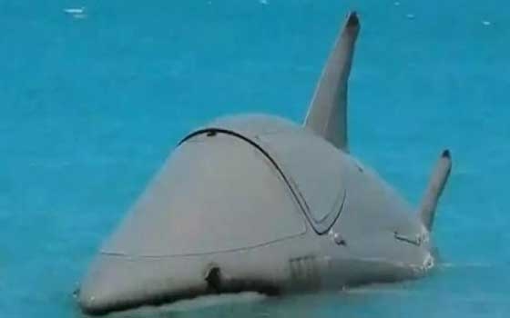   مصر اليوم - شحن غواصة رامز قرش البحر للإمارات لتسليمها لصاحبها