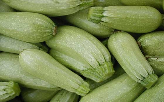   مصر اليوم - تحضير الملوخية والبامية والفاصوليا الخضراء والمحشي بطرق صحية