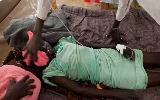   مصر اليوم - وزراء الصحة في 11دولة أفريقية في مواجهة وباء حمى الأيبولا