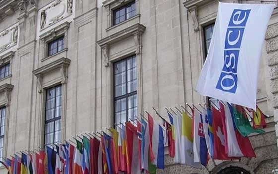   مصر اليوم - منظمة الأمن والتعاون الأوروبي تدعو لوضع حد للعنف في أوكرانيا
