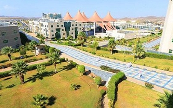 مصر اليوم - العيش في أحياء متنوعة يفيد صحة الانسان النفسية