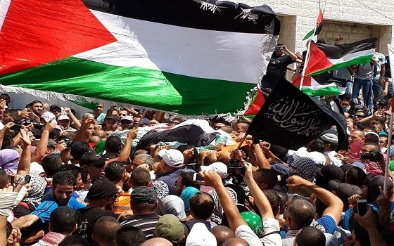   مصر اليوم - مصر تقدم العزاء لأسرة أبو خضير وتؤكد تضامنها مع الشعب الفلسطيني