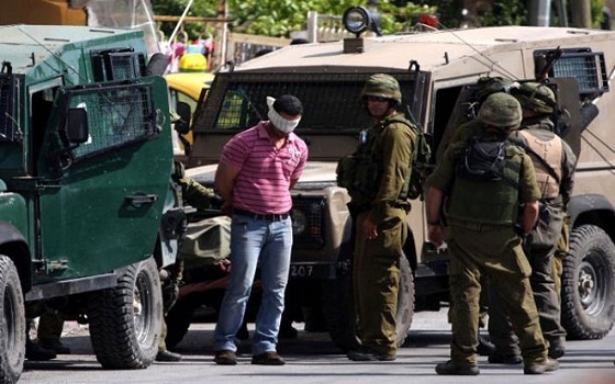   مصر اليوم - إرتفاع حصيلة الإعتقالات في الآراضي الفلسطينية المحتلة ل 896 معتقلًا