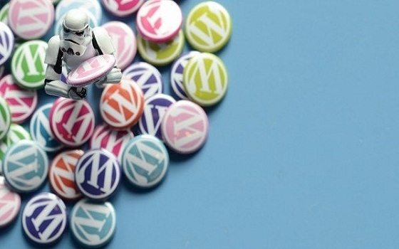   مصر اليوم - خبراء يحذرون من ثغرة أمنية في منصة ورد برس