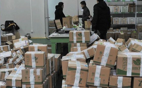   مصر اليوم - إرتفاع أعمال البريد السريع 50% في الصين