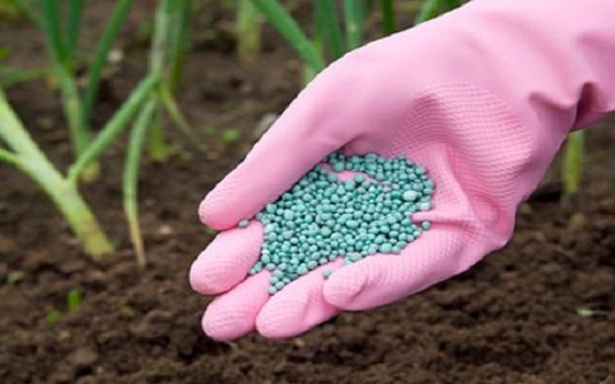   مصر اليوم - 42.7 مليون طن سنوياً الإنتاج الخليجي من الأسمدة