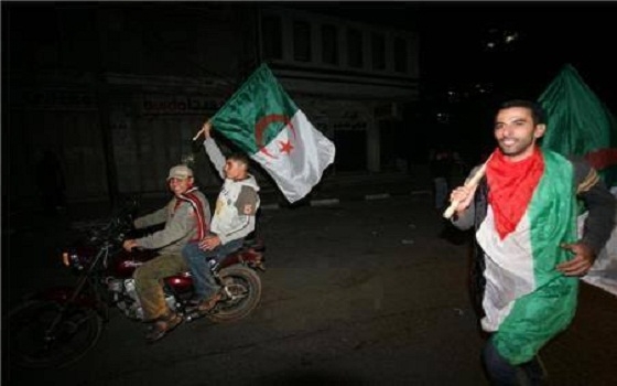   مصر اليوم - جزائريون: تفاجأنا بحب ودعم غزة لمنتخبنا  في المونديال