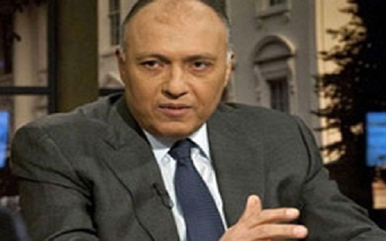   مصر اليوم - شكري يجري اتصالاً هاتفياً بوزيرة خارجية جنوب افريقيا