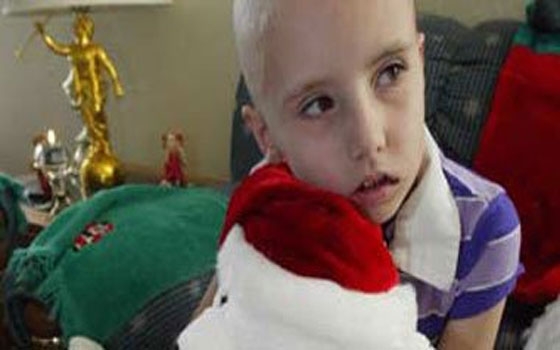   مصر اليوم - الحشيش يساعد علي منع انتشار السرطان