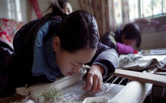   مصر اليوم - تعديل رسوم الإغراق الصينية علي واردات الدواجن الأميركية