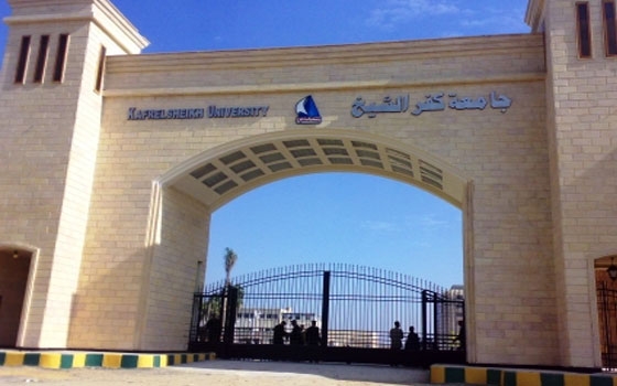   مصر اليوم - وزير التعليم العالي يعتمد نتيجة دبلومات المعاهد الفنية