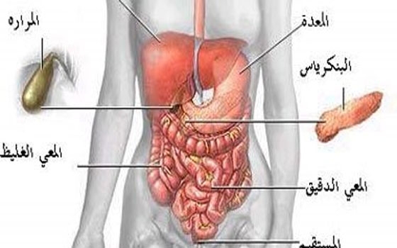   مصر اليوم - تناول 10 مللي جرام من الزنك يحميك من انتفاخ المعدة