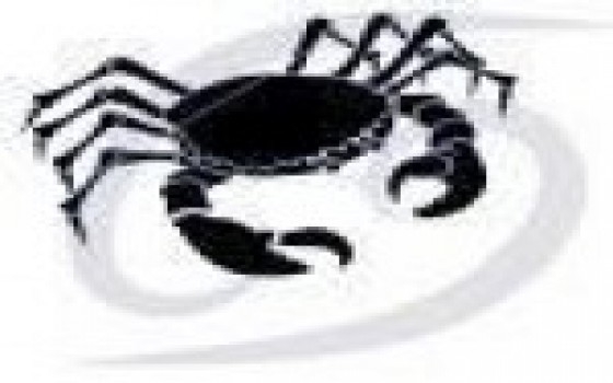   مصر اليوم - 21 حزيران / يونيو - 21 تموز / يوليو