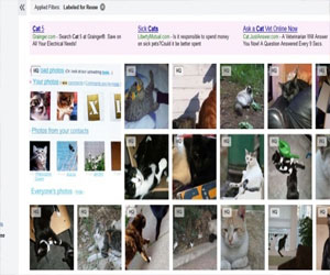 مصر اليوم - ياهو تتيح صور فليكر ضمن نتائج محرك بحثها