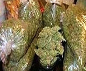   مصر اليوم - توقيف 4 تجار مخدرات في الإسماعيلية