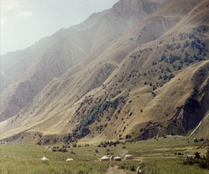 مصر اليوم - قرغيزيا وأوزبكستان تجريان مفاوضات لتسوية مشكلة حدودية بينهما