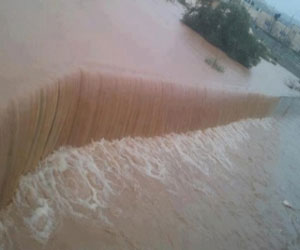 مصر اليوم - السيول تحاصر حافلات أهالي الأسرى الفلسطينيين والاحتلال يمنع إنقاذهم