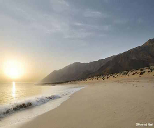   مصر اليوم - طاقات بديلة في قلب الصحراء