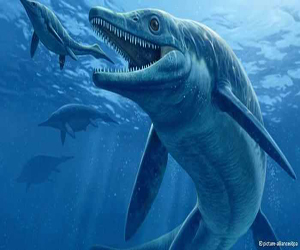   مصر اليوم - سيد البحر آكل الديناصورات يكشف المزيد عن النظام البيئي