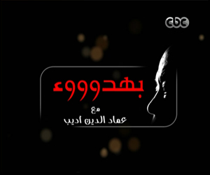   مصر اليوم - مستقبل الوضع العربي في 2013 على برنامج بهدوء 