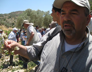 مصر اليوم - فلسطين في طريقها للتصحر بسبب الاستيطان