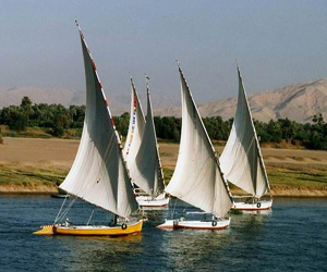   مصر اليوم - صحة الأقصر تعلن خلو ألبان الأطفال في المحافظة من المواد المسرطنة