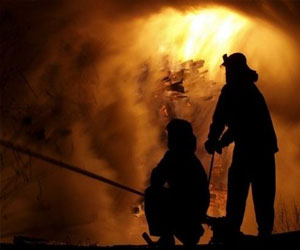 مصر اليوم - إطفائيون ينعشون قطة مسنة