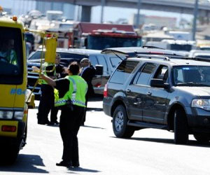 مصر اليوم - مطالبة بنصب تذكاري لأسماك نفقت بحادث سير