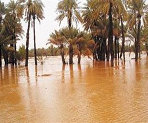   مصر اليوم - إغلاق طريق رأس غارب ـ المنيا أمام الحركة المرورية بسبب الأمطار والسيول