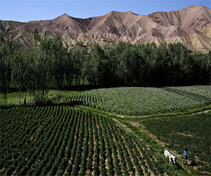   مصر اليوم - مسلحو طالبان يهاجمون إقليم باميان أكثر الأماكن أمنًا في أفغانستان
