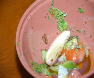 مصر اليوم - صرصور في دبي ثمنه 200 ألف درهم