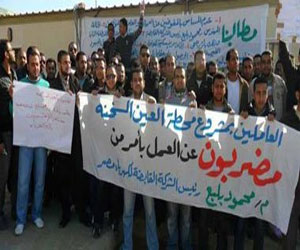   مصر اليوم - عمال السويس يغلقون محطة كهرباء ميناء العين السخنة لليوم الثاني