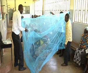 مصر اليوم - دورات تدريبية وناموسيات لمكافحة الملاريا في كينيا