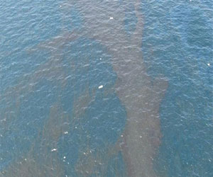 مصر اليوم - وزير البيئة في الأقصر لمتابعة محاولات التصدي لبقعة الزيت